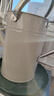沃施（WORTH）歐式澆水神器澆花噴灑澆菜長(cháng)嘴壺水壺澆花家用金屬灑水壺乳白4.5L 曬單實(shí)拍圖
