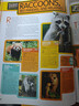 國家地理兒童動(dòng)物百科全書(shū)第二版 英文原版 National Geographic Kids Animal Encyclopedia 2nd edition 精裝兒童科普圖畫(huà)書(shū)籍 曬單實(shí)拍圖
