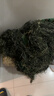 3507 偽裝服吉利服 戶(hù)外野戰草衣隱身衣 叢林毛絲型 曬單實(shí)拍圖