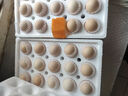 【順豐】新鮮雞蛋雙黃蛋一整箱雞蛋30個(gè)正宗雙黃雞蛋大個(gè)雙黃雞蛋 整箱30枚雙黃土雞蛋【普通快遞】 曬單實(shí)拍圖