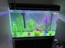 西龍中大魚(yú)缸客廳家用落地懶人生態(tài)免換水帶柜子一體自循環(huán)金魚(yú)水族箱 80CM魚(yú)缸+PVC地柜+造景 曬單實(shí)拍圖
