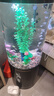 可麗愛(ài)（CLEAIR）Cleair可麗愛(ài)LS-Y1橢圓Y2圓柱魚(yú)缸水族箱客廳家用亞克力魚(yú)缸 水泵 水泵 曬單實(shí)拍圖