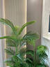 故森仿真綠植造景觀(guān)室內櫥窗樓梯下仿生花定制場(chǎng)景裝飾布置假樹(shù)植物 （主圖同款2米長(cháng)）E款南天竹+龍血樹(shù) 曬單實(shí)拍圖