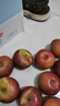 異果戀四川大涼山鹽源冰糖心丑蘋(píng)果瀘沽湖丑蘋(píng)果紅富士8斤大果純甜無(wú)酸 3斤大果75-80mm【約7個(gè)】 曬單實(shí)拍圖