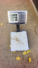 至尊（ZHIZUN）稱(chēng)貨電子秤商用秤做生意用臺秤擺攤小型高精度60公斤電子稱(chēng)防水稱(chēng)賣(mài)菜水果快遞可折疊小型地磅秤 【防水+表頭旋轉款】60公斤、防潮防跳數 曬單實(shí)拍圖