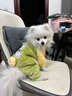 曇蓓漫狗狗衣服冬裝寵物泰迪比熊雪納瑞小型犬棉衣2025新款冬季小狗衣服 狗狗冬季衣服（綠色） S碼背長(cháng)25（建議3-4斤） 曬單實(shí)拍圖