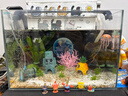橙央海綿寶寶菠蘿屋魚(yú)缸造景擺件卡通公仔躲避屋水族箱布景裝飾套餐 曬單實(shí)拍圖