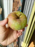 暖欣果老樹(shù)國光蘋(píng)果丑蘋(píng)果酸甜新鮮水果東北遼寧特產(chǎn)真國光笨果 5斤小果(單品60-65mm) 曬單實(shí)拍圖