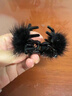 初享（CHUXIANG）超仙秋冬毛絨小抓夾后腦勺半抓毛球發(fā)夾2026新款側耳邊劉海夾發(fā)飾 1#黑色毛球小抓夾 B06-301 曬單實(shí)拍圖