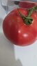 有機西紅柿番茄大水果孕婦寶寶輔食蔬菜新鮮生吃自然熟沙拉有機菜 有機西紅柿 3斤 （適合炒食 ） 曬單實(shí)拍圖
