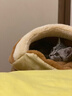 華元寵具（hoopet）貓窩秋冬季保暖貓咪睡袋半封閉式安全感小貓被窩可拆洗幼貓床睡墊 曬單實(shí)拍圖