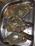 舟山梭子蟹新鮮冷凍特大野生大螃蟹鮮活海蟹海鮮水產(chǎn)非母飛蟹肉蟹 3-4兩/只 【10只 舟山直發(fā)】 曬單實(shí)拍圖