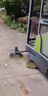 工業(yè)工廠(chǎng)掃地機電動(dòng)掃地車(chē)手推式掃地機強力吸塵器市政道路清掃車(chē)停車(chē)場(chǎng)清掃一體車(chē)樹(shù)葉粉碎大垃圾桶掃雪機 金剛B款掃地車(chē) 曬單實(shí)拍圖