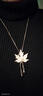 秋冬楓葉毛衣鏈女輕奢高級感長(cháng)款日常百搭項鏈配飾衣服掛飾衛衣鏈 楓葉毛衣鏈 曬單實(shí)拍圖