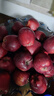 顧果鮮甘肅天水花牛蘋(píng)果當季新鮮蛇紅果寶寶老人輔食脆粉面刮泥蘋(píng)果禮盒 9斤裝凈重8.5斤 小果【單果65-70mm】 曬單實(shí)拍圖