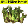 獨愛(ài)順豐東北特產(chǎn) 新鮮野生刺嫩芽 頭茬刺老芽嫩芽刺龍芽 野菜蔬菜 [大棚帶根]新鮮刺嫩芽2斤(1000g) 曬單實(shí)拍圖