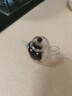 北大史高端玻璃泡茶壺家用耐熱小號透明單壺純手工高硼硅帶過(guò)濾花茶壺 悅穆壺紫金 150ml 曬單實(shí)拍圖