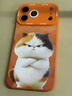 品盟（PISMEXOK）適用于蘋(píng)果iPhone17/16promax手機殼秋冬新款硅膠防摔卡通憤怒小貓保護套17Pro伸縮腕帶支架潮牌款 蘋(píng)果17 Pro【憤怒小貓】 默認1 曬單實(shí)拍圖