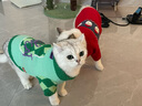 華元寵具（hoopet）貓咪衣服秋冬保暖寵物春季防掉毛軟糯冬季幼貓成貓毛線(xiàn)衣毛衣 高領(lǐng)菱形毛衣 L：胸圍44cm  建議9-12斤 曬單實(shí)拍圖