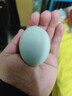 漁大叔 東北濕地咸鴨蛋紅心流油正宗特產(chǎn)紅海灘濕地海鴨蛋55g*10枚 曬單實(shí)拍圖
