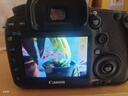 佳能/Canon 5D3 5D4 5D2 6D 6D2 7D2 5DSR 全畫(huà)幅二手單反數碼相機 佳能5D3+24-105 F4 IS套機 99成新 曬單實(shí)拍圖