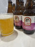 飛龍泉百香果/海鹽荔枝/德式小麥/橙香比利時(shí)精釀啤酒305ml*12支整箱裝 德式小麥 305mL 12瓶 曬單實(shí)拍圖