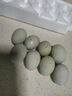 正宗無(wú)鉛皮蛋40-50g/枚減脂涼拌菜變蛋生鮮超市同款批發(fā)新鮮即食 10枚 曬單實(shí)拍圖