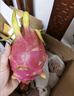 黃六爺云南白心火龍果新鮮9斤超甜當季水果大果現摘紅心蜜金都旗艦包郵 5斤【大果】約5-6個(gè) | 不甜包賠 曬單實(shí)拍圖