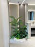 故森仿真綠植造景觀(guān)室內櫥窗樓梯下仿生花定制場(chǎng)景裝飾布置假樹(shù)植物 （主圖同款2米長(cháng)）E款南天竹+龍血樹(shù) 曬單實(shí)拍圖