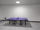 博森特乒乓球桌室內家用帶輪可折疊標準乒乓球臺乒乓球桌乒乓球拍 室內18面50腿可折疊 帶輪款 曬單實(shí)拍圖