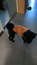 冇寵狗狗衣服秋冬裝柯基法斗比熊柴犬博美小狗小型犬保暖冬天寵物服裝 橙紅色 3XL號【推薦20-26斤】 曬單實(shí)拍圖