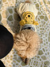 MIKI PAD狗狗衣服馬甲冬季保暖透氣可牽引寵物小型犬春秋貓衣服比熊雪納瑞 抹茶馬卡龍背心 L胸圍47cm（建議8.5-12斤） 曬單實(shí)拍圖