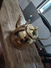 金疆加厚不銹鋼開(kāi)水壺帶濾網(wǎng)茶壺創(chuàng  )意個(gè)性家商用燒水壺茶水火鍋加湯壺 金色1L星閃壺 曬單實(shí)拍圖