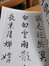 【8開75頁】王羲之宋詞 中國歷代書法名家作品集字 蘇軾李清照辛棄疾詩詞蘭亭序行書書法臨摹毛筆字帖 曬單實拍圖