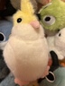 捉趣翠鳥(niǎo)毛絨玩具可愛(ài)小鳥(niǎo)玩偶公仔睡覺(jué)桌伴抱枕陪睡娃娃女生生日禮物 玄鳳鸚鵡-約14cm 鸚鵡鳥(niǎo)系列 曬單實(shí)拍圖