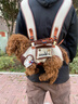 wakytu英倫風(fēng)狗狗外出背包寵物用品貓包中小型犬遛貓繩牽引神器 S碼—雙肩版英倫棕【6-8斤以?xún)取?曬單實(shí)拍圖
