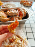 蘇州鮮活大閘蟹產(chǎn)地直發(fā)本地蟹河蟹六月黃螃蟹禮盒裝清水養殖 全母1.2-1.5兩6只裝 曬單實(shí)拍圖