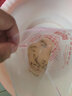 鯽魚(yú)苗活體淡水養殖高背鯽大坂鯽魚(yú)觀(guān)賞魚(yú)活體飼料中科鯽魚(yú)苗批發(fā) 中科鯽2-4厘米10條加20%防損 曬單實(shí)拍圖