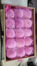 靈寶蘋(píng)果 LINGBAO APPLE2025靈寶正宗寺河山SOD紅富士蘋(píng)果禮盒裝新鮮天然富硒脆甜爽口 85-90mm(15個(gè)裝) 曬單實(shí)拍圖