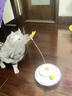 華元寵具（hoopet）貓咪玩具自動(dòng)逗貓棒自嗨解悶逗貓激光筆貓咪耗體力電動(dòng)智能寵物車(chē) 電動(dòng)蝴蝶（帶轉盤(pán)） 曬單實(shí)拍圖