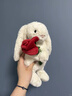 Jellycat英國害羞邦尼兔毛絨玩具兒童玩偶安撫抱枕娃娃潮玩公仔女生日禮物 懷抱玫瑰邦尼兔23CM【贈送禮盒】 代寫(xiě)賀卡聯(lián)系客服 曬單實(shí)拍圖
