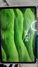 OPPO Pad SE 11英寸高清大屏平板電腦  6GB+128GB 星光銀 辦公游戲娛樂(lè )學(xué)習平板 國家補貼 曬單實(shí)拍圖