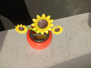 威百倫汽車(chē)內裝飾擺件用品大全車(chē)載太陽(yáng)能搖頭蘋(píng)果花車(chē)內飾品中控臺新款 向日葵 曬單實(shí)拍圖