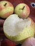 南步北京平谷紅肖梨 老品種可煮水紅梨脆甜梨紅梨沙梨紅消梨新鮮水果 3斤 精選大果【單果145g+】 曬單實(shí)拍圖