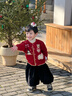 LUSON小O爸男嬰童 寶寶紅色毛衣男童冬季刺繡新款嬰兒開(kāi)衫拜年服 曬單實(shí)拍圖