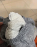 嘟嘟家寶寶加絨褲子冬季加絨兒童加厚長(cháng)褲男童童裝保暖女童冬裝 麻灰色 曬單實(shí)拍圖