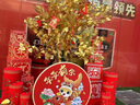 園尚新年氛圍布置2026馬年裝飾掛件春節元旦過(guò)年擺件套餐圣誕樹(shù)燈場(chǎng)景 1.2米樹(shù)燈套餐 曬單實(shí)拍圖