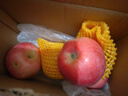山東丑蘋(píng)果高次微瑕紅富士清倉特價(jià)助農幫扶25025當季采摘 4粒（75mm起） 性?xún)r(jià)比超高介意慎拍 曬單實(shí)拍圖