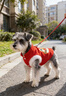 神經(jīng)貓（shenjingmao）狗狗新年喜慶衣服兩腳馬甲泰迪比熊秋冬加絨加厚寵物小型犬狗衣服 德羅紅-龍 L （建議體重8-12斤） 曬單實(shí)拍圖