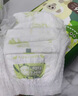 糯啦啦Noralala 全新茶樹(shù)森林系列 天然弱酸 超薄干爽 嬰幼兒紙尿褲 拉拉褲L碼（9-14kg）36片 曬單實(shí)拍圖